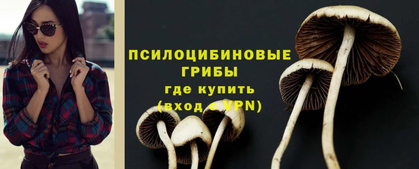 ALPHA PVP Беломорск