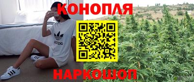 мяу мяу мука Малоярославец