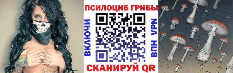 дарнет шоп Славгород Галлюциногенные грибы Magic Shrooms
