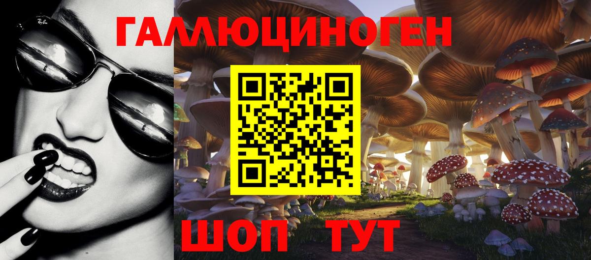Псилоцибиновые грибы мухоморы Славгород