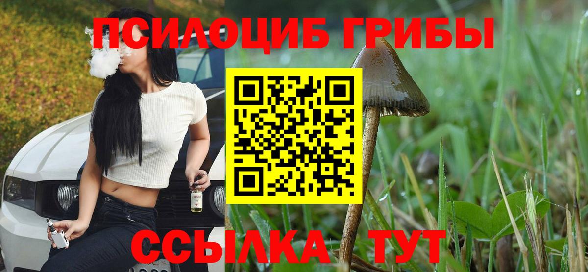 где можно купить наркотик  Галлюциногенные грибы GOLDEN TEACHER  Вход с VPN  Славгород 